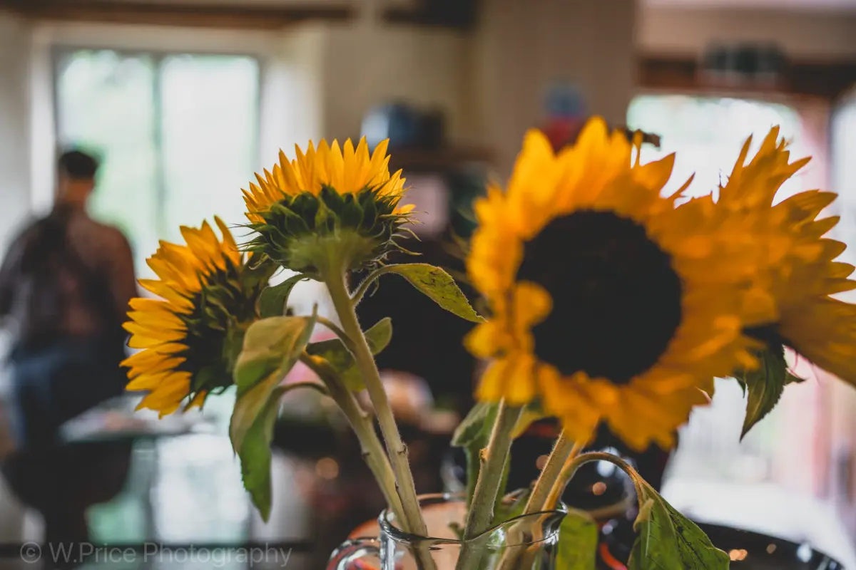 Sunflowers in a jar on the kitchen table