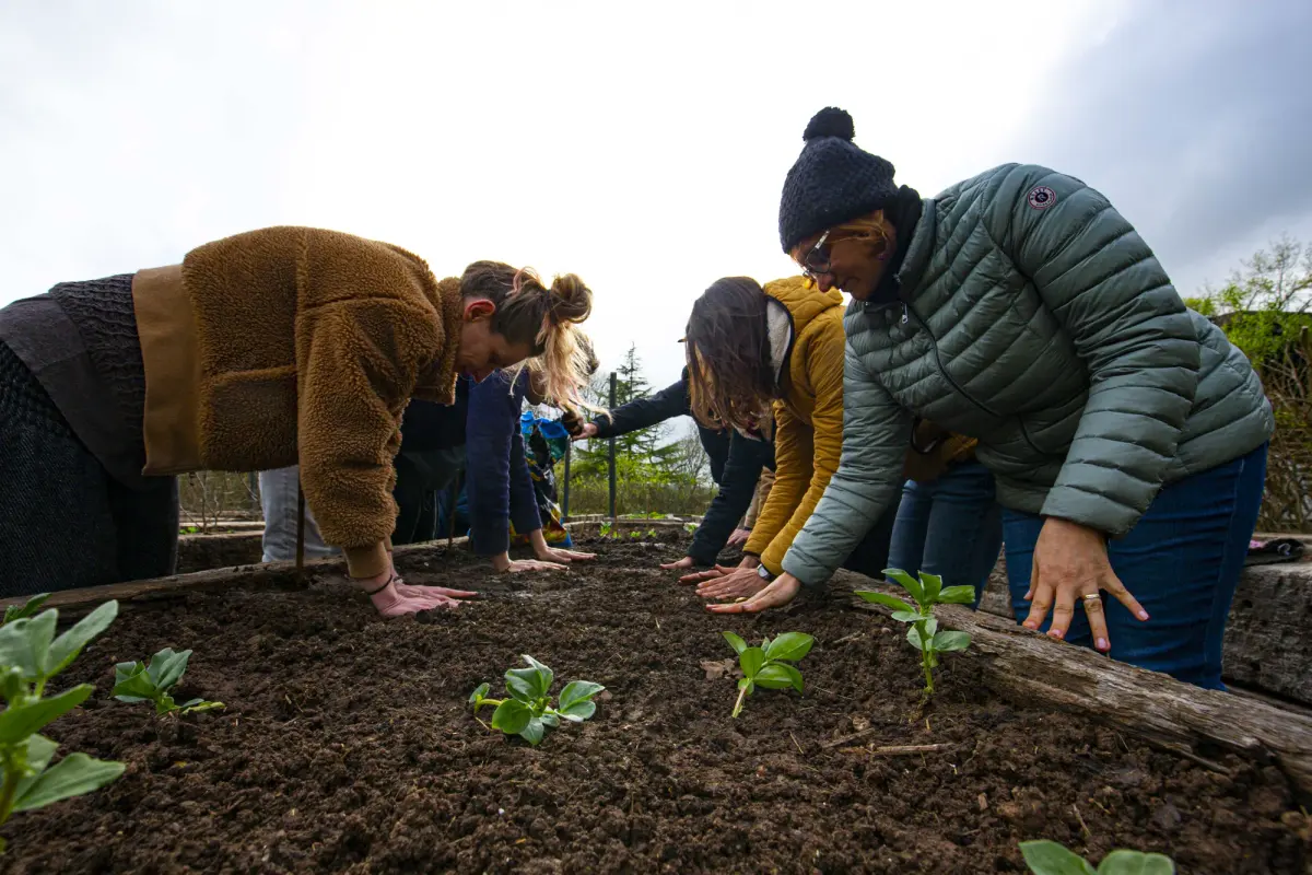 Hands working the soil in the garden
