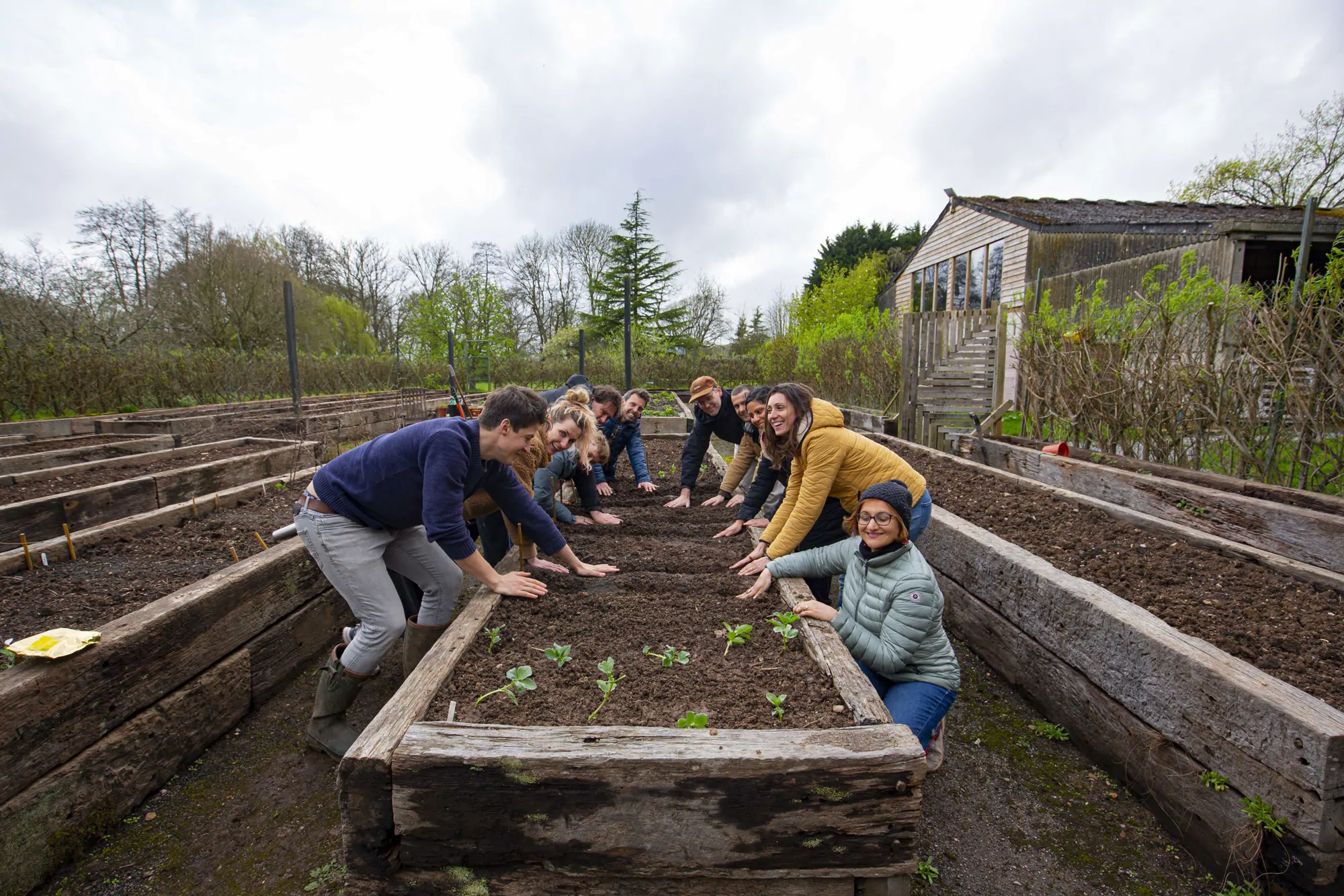 A team planting together in the raised beds of the veg garden