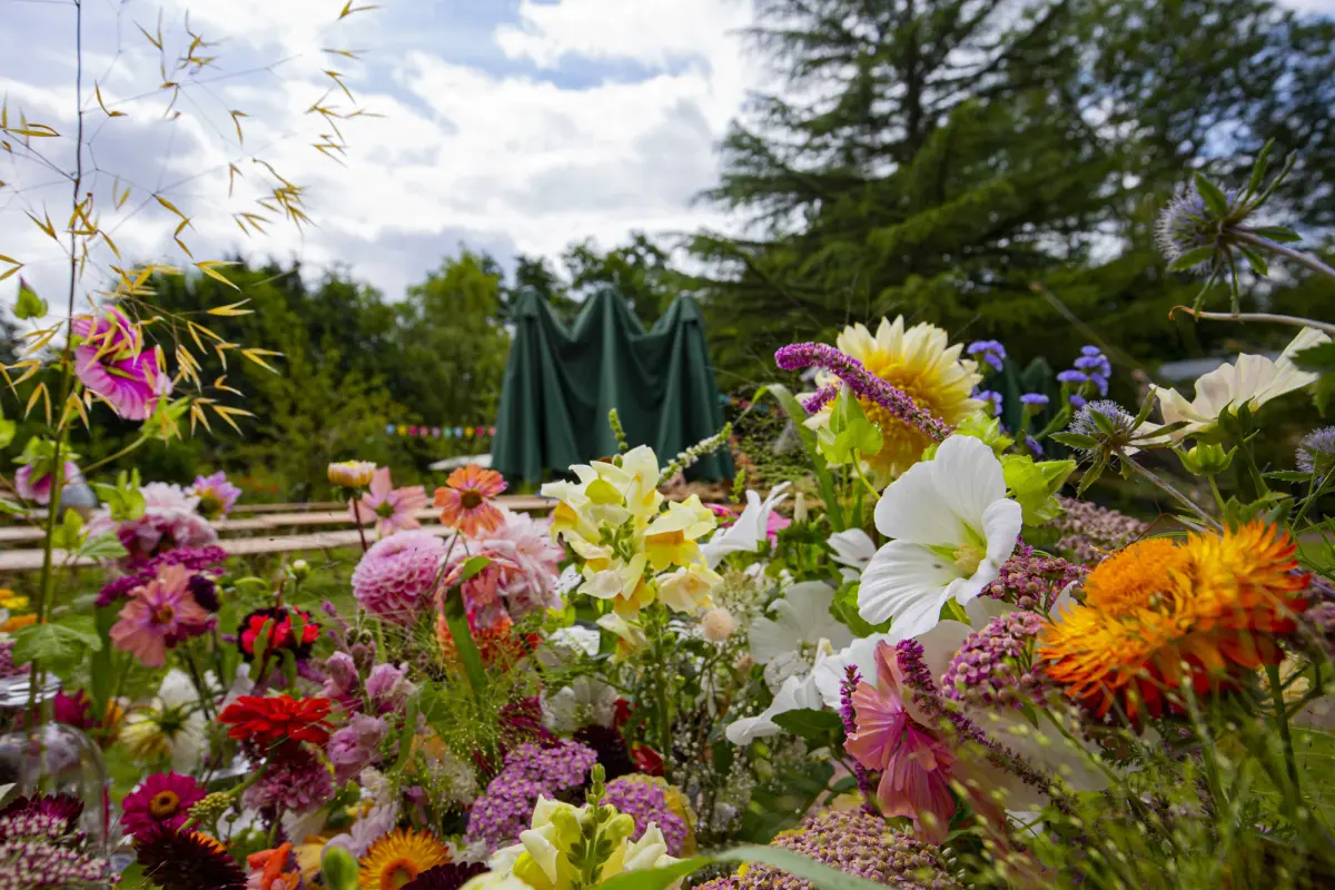 Cut flowers in the foreground with the marquee behind